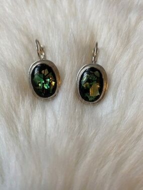 Beautiful Mother of Pearl Look Dangle Earrings Unique setting in silver NWOT